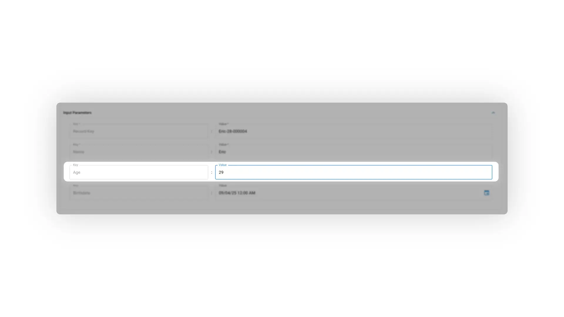 Mirata Data Management Input Parameters section with fields for Record-Key, Name, Age, and Birthdate.