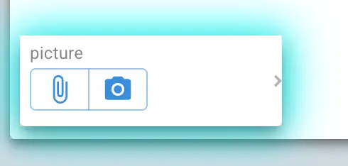 Mirata Forms feature with options to attach or capture images.