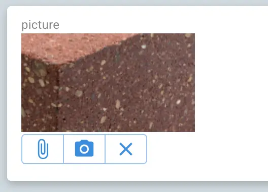 Mirata Forms feature with image and annotation options.