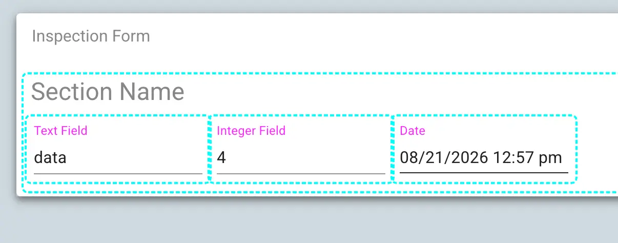 Mirata Inspection Form Section with Text, Integer, and Date Fields