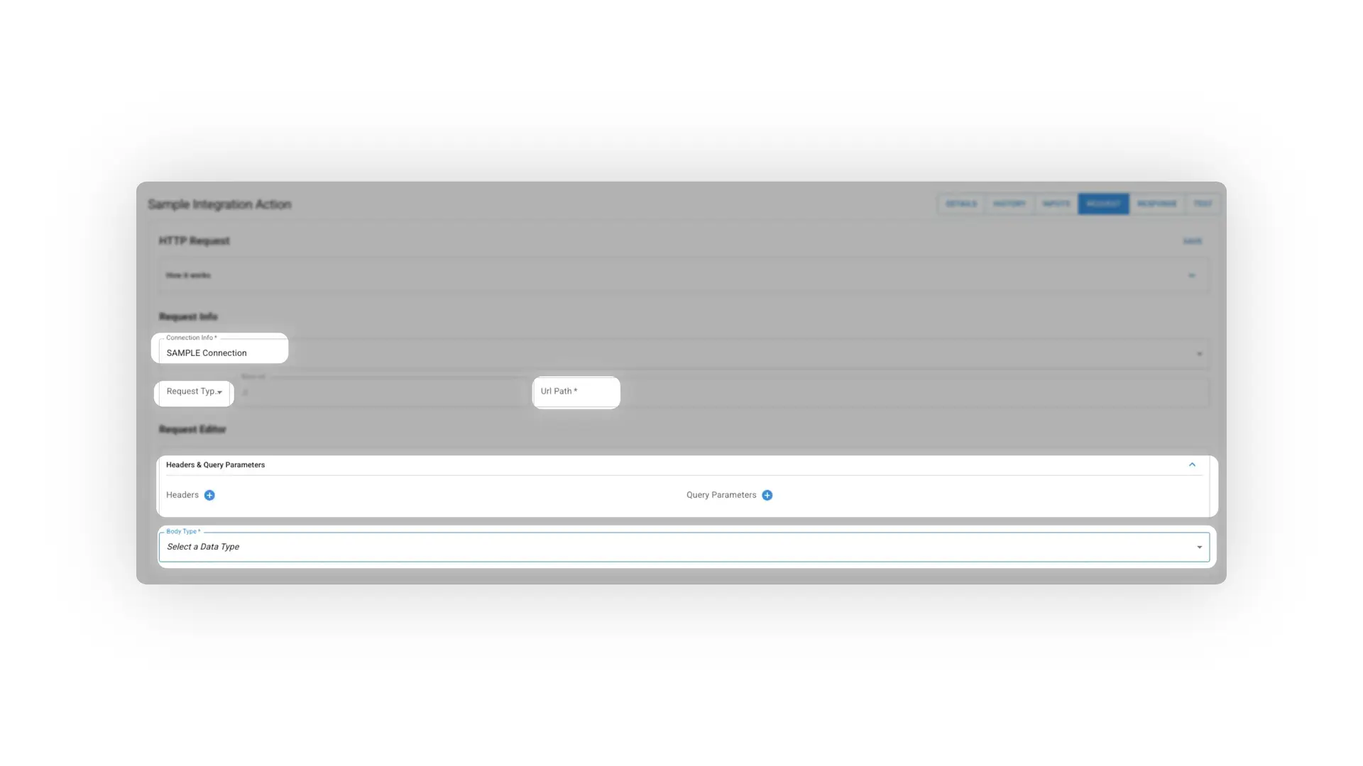 Mirata Sample Integration Action screen under the Request tab