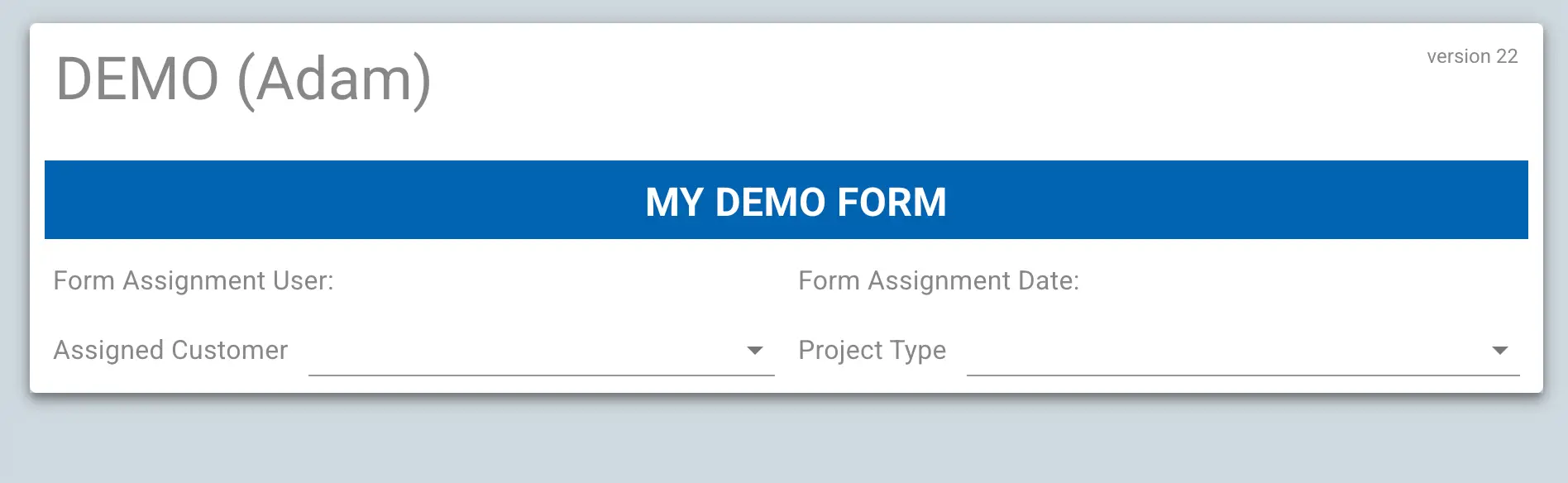 Mirata Forms - DEMO (Adam) version 22