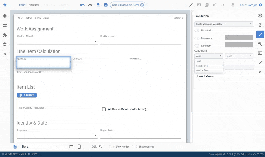 Mirata Calc Editor Demo Form with Boolean Expressions and Validation Options